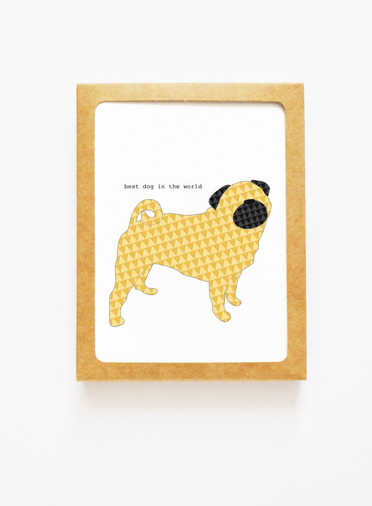 Pug Boxed Notes